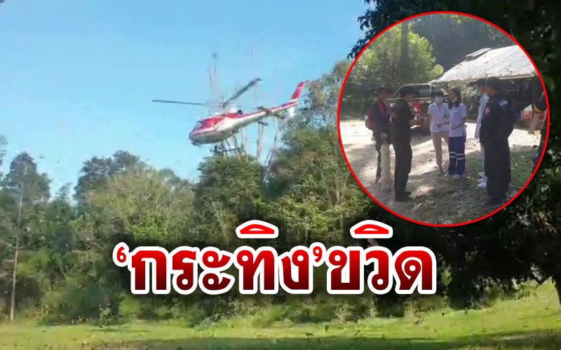 ‘กระทิง’ห้วยขาแข้งขวิด จนท.ปางตาย ช่วยนำตัวส่ง รพ.ลำบากกว่า7ชม.