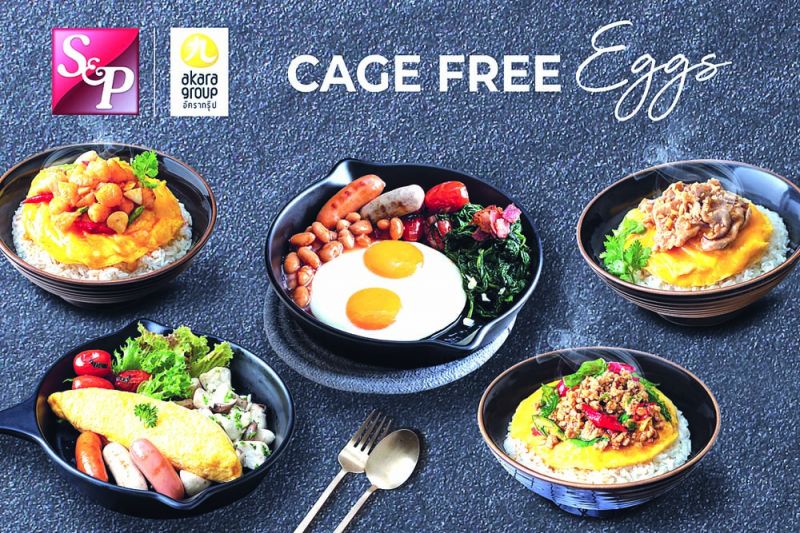 ‘เอส แอนด์ พี’คัดสรรไข่ไก่สด สะอาด ปลอดภัย จากแม่ไก่อารมณ์ดี