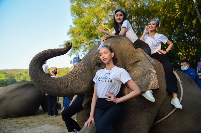 'กองประกวดนางสาวไทย'พาสาวงามชมความงามวัดพระธาตุลำปางหลวงเยี่ยมศูนย์อนุรักษ์ช้างไทย