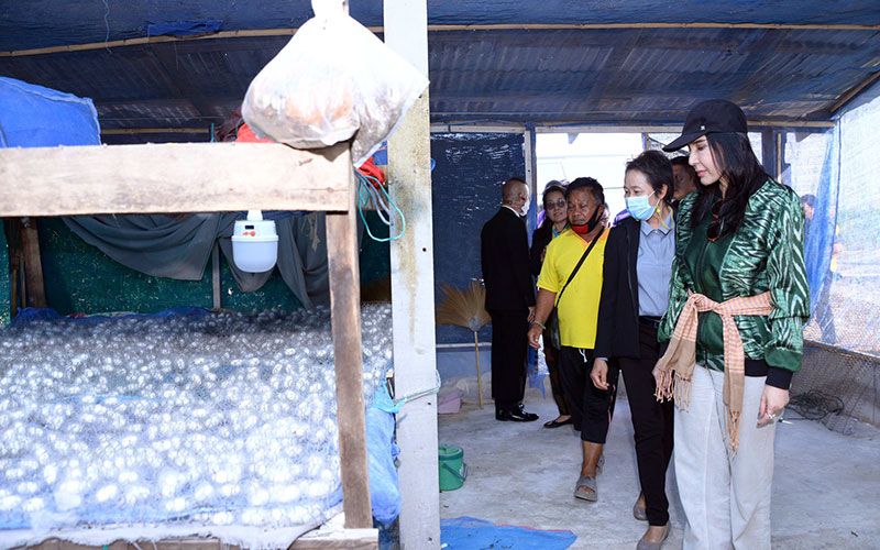 'มนัญญา'เยี่ยมเกษตรกรกลุ่มปลูกหม่อนเลี้ยงไหม ดันต่อยอดผ้าทอฝ้ายแกมไหม