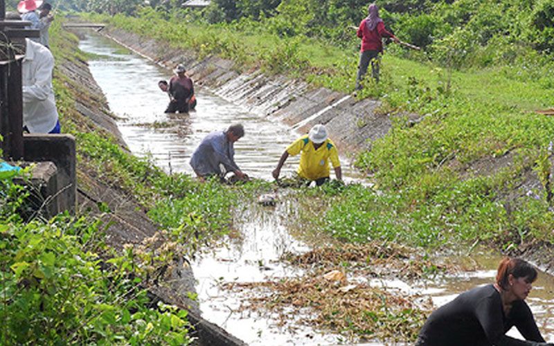 สถานีเกษตร-สิ่งแวดล้อม : องค์กรผู้ใช้น้ำฟันเฟืองแก้ปัญหาน้ำ