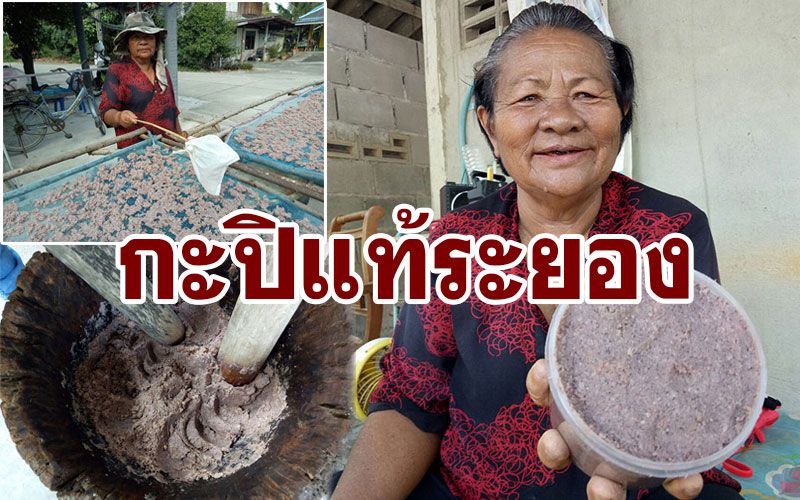 'กะปิ'ระยอง! เครื่องปรุงคู่ครัวไทยมาช้านาน ตำน้ำพริกก็แซ่บ ใส่อาหารก็อร่อย
