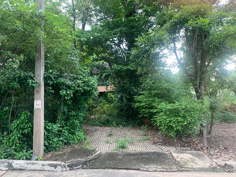 Properties Zone by Naewna : 15 ธันวาคม 2563