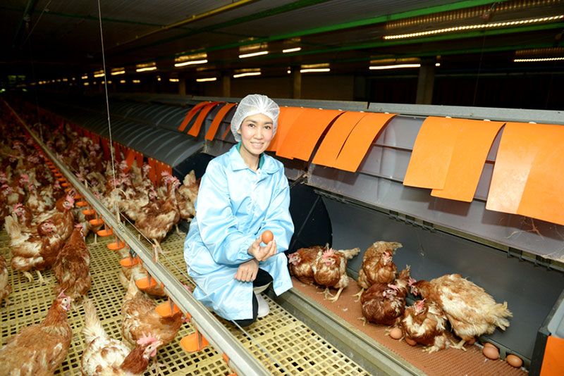 S&Pเปิดตัวเมนูอาหารเช้าจากไข่ปลอดสารพิษ