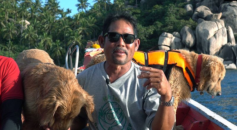 ‘มันนี่-แฟนต้า’ เจ้าตูบหัวใจสีเขียวแห่งเกาะเต่า