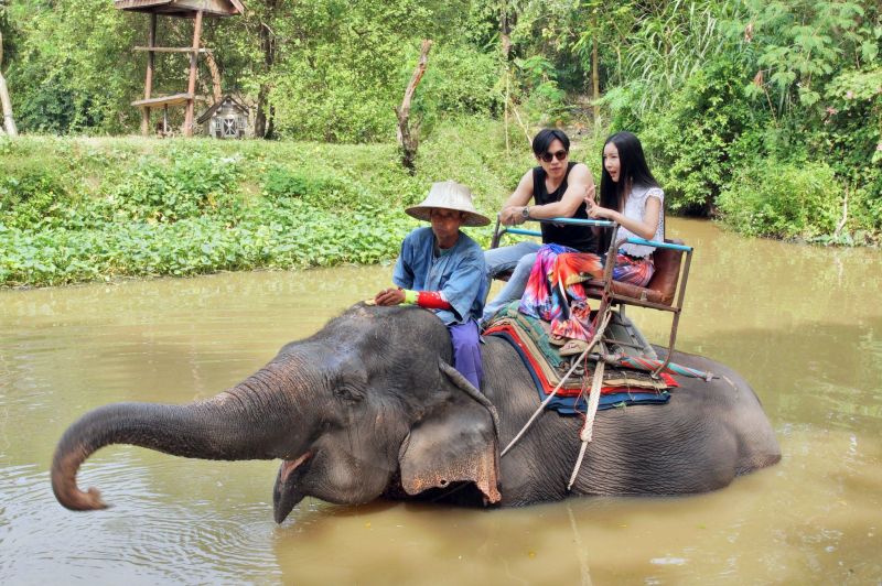 'หนีเที่ยวกัน'ที่สุดแห่งปี! เติมพลังพลิกวิกฤติเป็นทางรอด