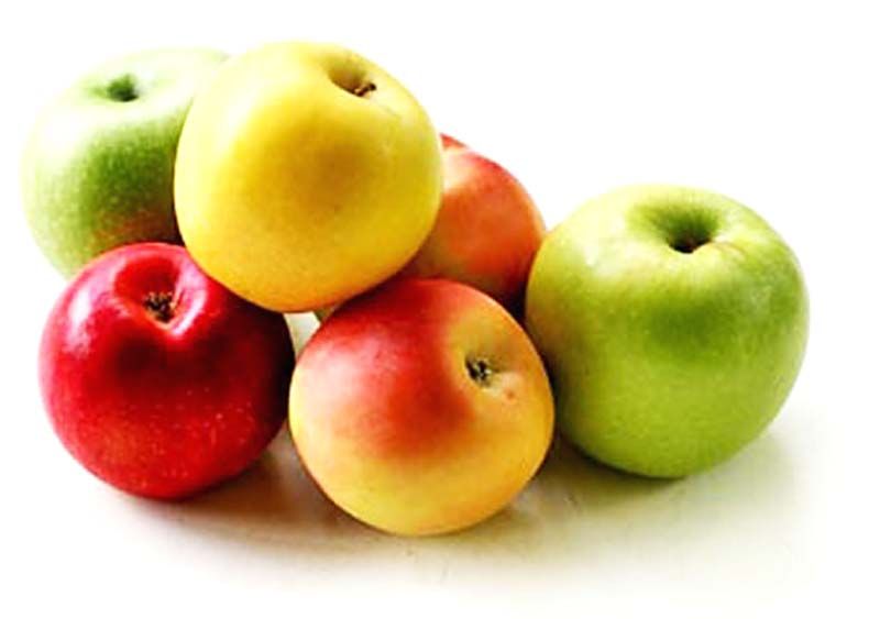วิทยาศาสตร์ สำหรับเยาวชน : แอปเปิ้ล...ผลไม้ยอดนิยมของใครหลายคน