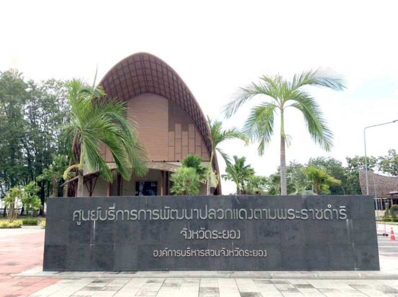 ‘โครงการศูนย์บริการการพัฒนาปลวกแดง’  สร้างอาชีพแหล่งเรียนรู้เกษตรตามพระราชดำริ