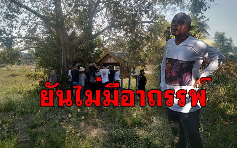 'หมอปลา' บุกพิสูจน์ต้นโพธิ์เก่าแก่อายุ 100 ปียันไม่มีอาถรรพ์