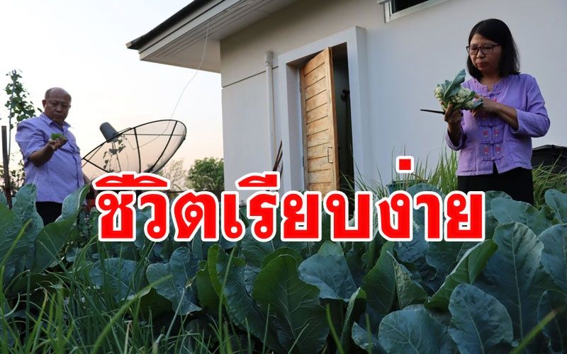 ชีวิตเรียบง่าย! 2 สามีภรรยาข้าราชการครูปลูกพืชผักสวนครัวบนดาดฟ้าด้วยพื้นที่จำกัด