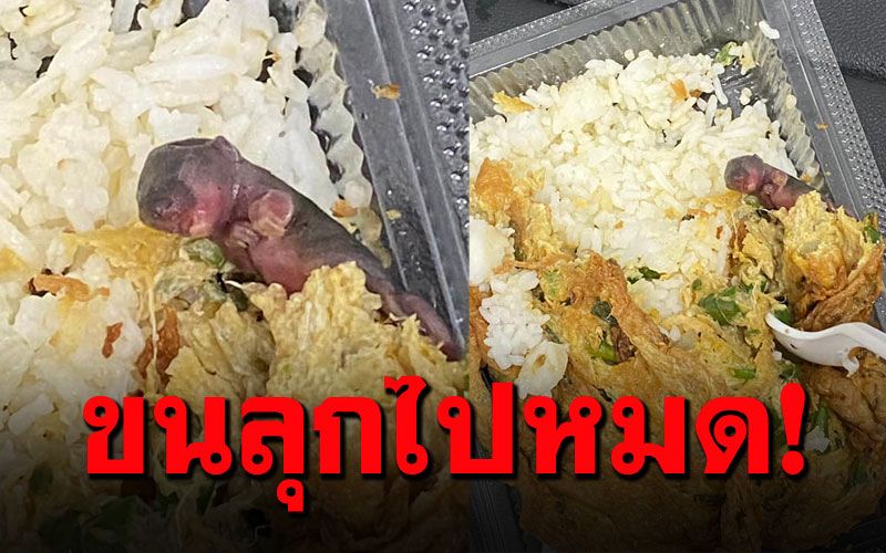 สาวซื้อข้าวไข่เจียว แต่ดันแถมหนู! ตักทานไปหลายคำอ้วกแทบพุ่ง