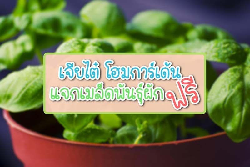เจียไต๋ เติมเต็มความอุ่นใจ จับมือคนไทยฝ่าวิกฤติโควิด-19