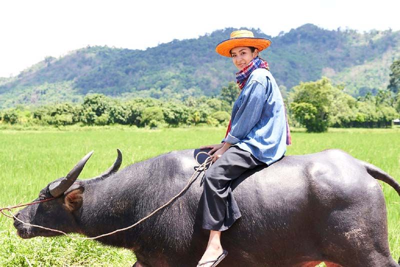 ช่อง 3 ชวนแฟนละคร‘เทพธิดาปลาร้า’ &แฟนรายการ‘แซ่บพาซ่าส์’พิชิตสูตรเมนูอร่อยเด็ด!