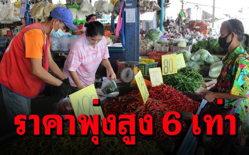 แม่ค้าอุดรฯโอด ‘พริกสด’แพงมากในรอบ 33 ปี ราคาพุ่งสูง 6 เท่า