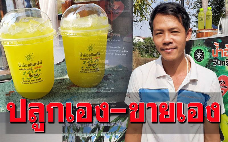 ขยันทำกิน! หนุ่มไอทีปลูกอ้อย1ไร่ คั้นน้ำขายสดๆรสชาติถูกปากลูกค้า