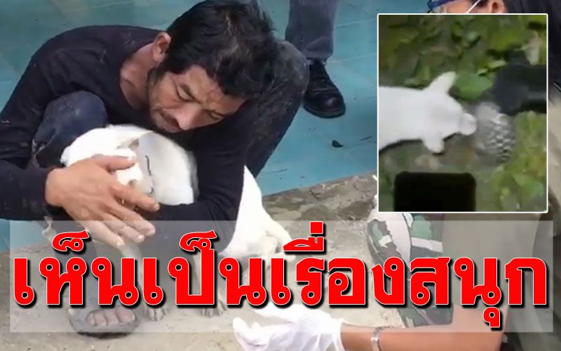 จับหนุ่มคึกคะนองปล่อยสุนัข2ตัวรุมกัดตัวนิ่ม อัดคลิปโชว์-ไม่ยอมช่วย!