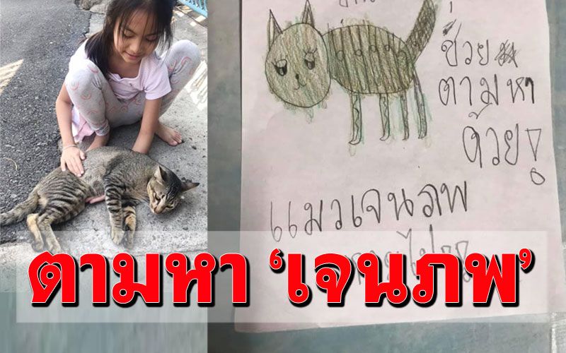 น่าเอ็นดู! 'หนูทิชา'วาดรูปตามหาแมวจร'เจนภพ' หายจากหมู่บ้านไป1เดือนยังไม่กลับมา