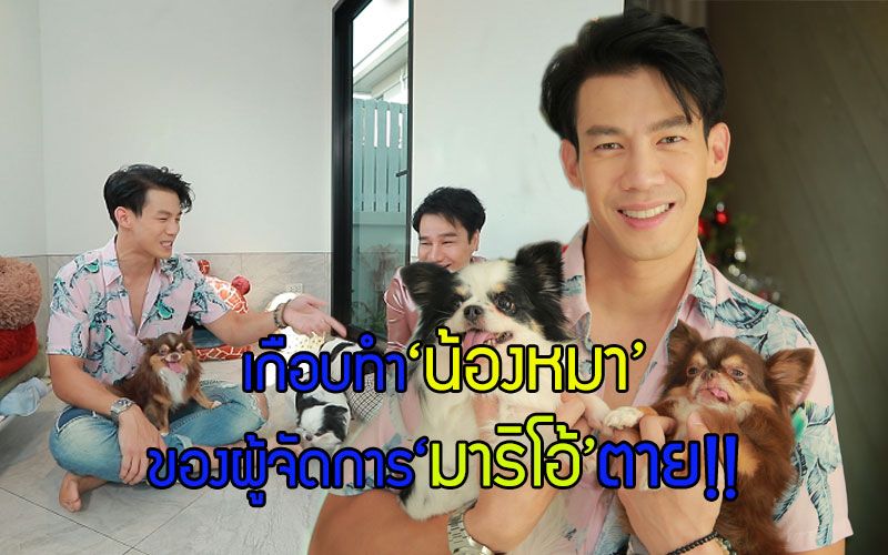 'ณัฎฐ์'สารภาพผิดเกือบทำน้องหมาของ'ผู้จัดการมาริโอ้'ตาย!!