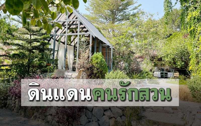 เชิญทางนี้! ‘คาเฟ่สไตล์สวน’ ที่คนรักธรรมชาติห้ามพลาด
