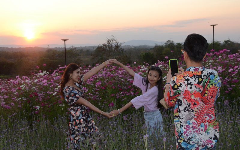 วันหยุดยาวตรุษจีน ชวนเที่ยวทุ่งดอกลาเวนเดอร์ใหญ่สุดในไทย ที่วังน้ำเขียว