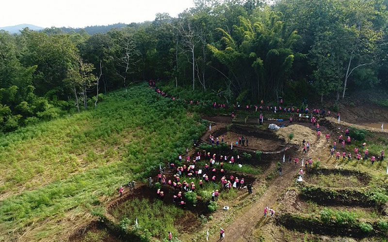 'โครงการฟื้นฟูลุ่มน้ำป่าสักตามรอยพ่อฯ' เดินหน้าสร้างองค์ความรู้ ชูศาสตร์พระราชาสู้ทุกวิกฤตยุคนิวนอร์มอล