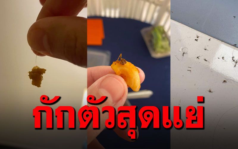 หนุ่มรีวิวกักตัว14วัน ในสภาพโรงแรมสุดแย่ อาหารมีหนอน-แมลงสาบ