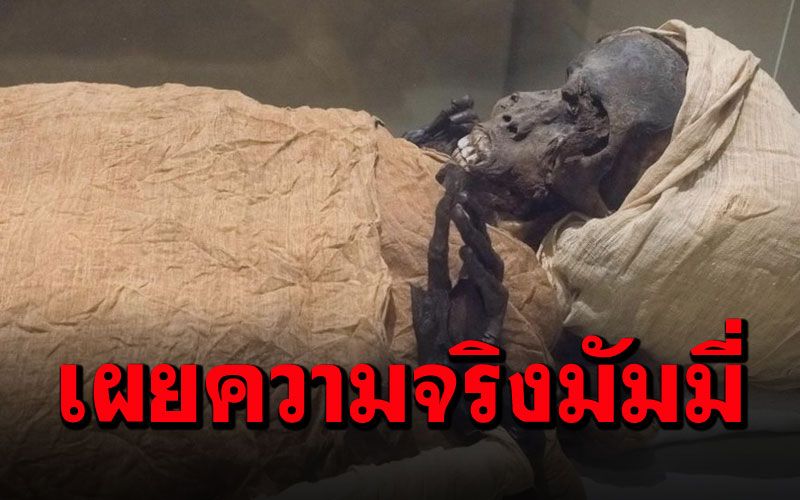 เผยความจริง‘มัมมี่’อียิปต์ ชี้‘ฟาโรห์ผู้กล้า’สิ้นพระชนม์ในสมรภูมิรบ