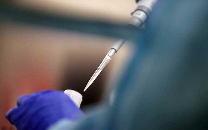 ความหวังครั้งสำคัญ!'เข็มเดียว'เยียวยากาฬทวีป