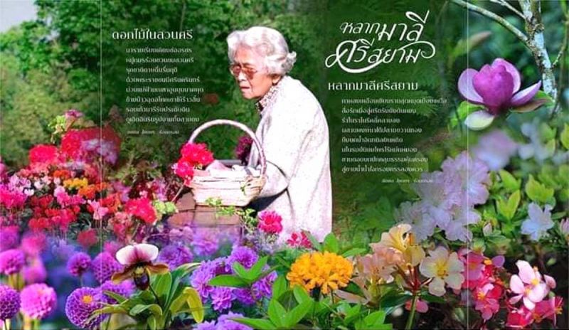 ‘หลากมาลีศรีสยาม’ อวดผลงานภาพถ่าย  ‘10 ปี บุญพีร์ พันธ์วร’ ครั้งแรกในชีวิต