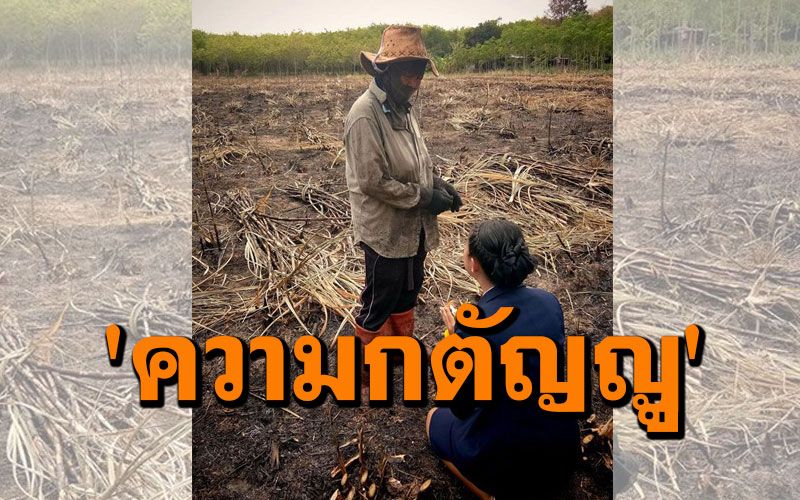 'วันมาฆบูชา' ไม่ใช่แค่วันสำคัญทางศาสนาพุทธ แต่ยังเป็น 'วันกตัญญูแห่งชาติ' ด้วย