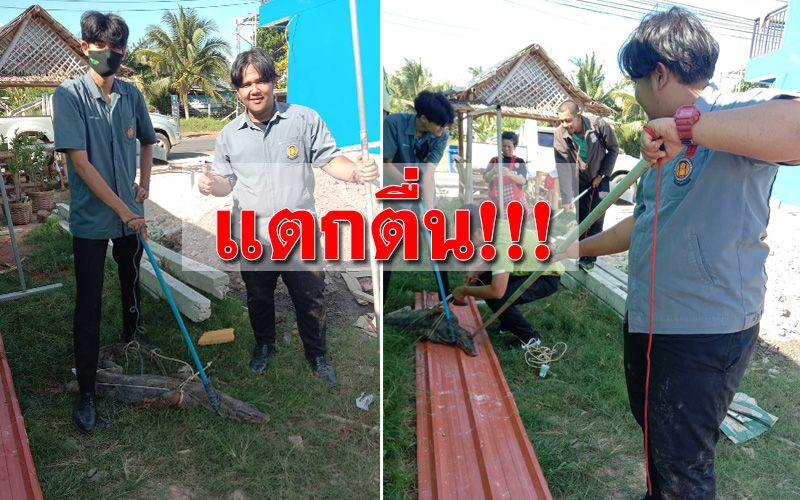 แตกตื่นทั้งร้าน! ‘ตัวเงินตัวทอง’ บุกร้านขนมจีนลูกค้าหนีกระเจิง (คลิป)