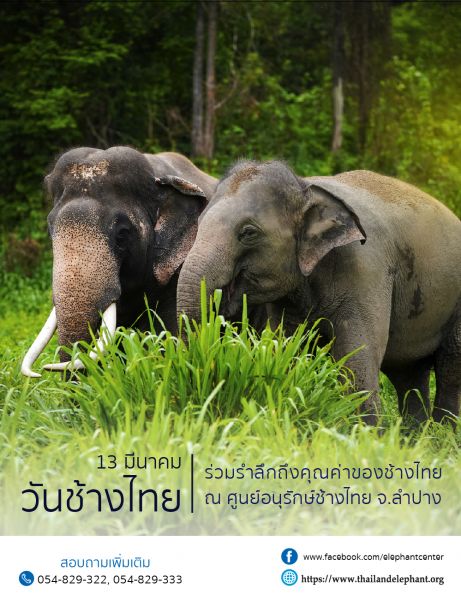 อ.อ.ป. จัดกิจกรรม “วันช้างไทย” 13 มีนาคม สไตล์ ‘นิวนอร์มอล’ ลดเสี่ยง-เลี่ยงติดเชื้อโควิด-19