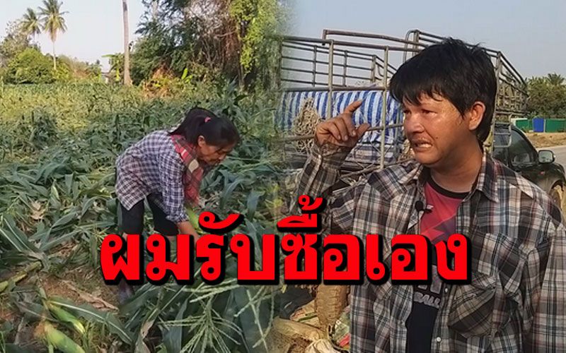 ซึ้งใจหนุ่มพ่อค้าผลไม้บึ่งรถจากพิจิตรมาช่วยซื้อข้าวโพดเหยื่อพายุถล่มสุโขทัย(คลิป)