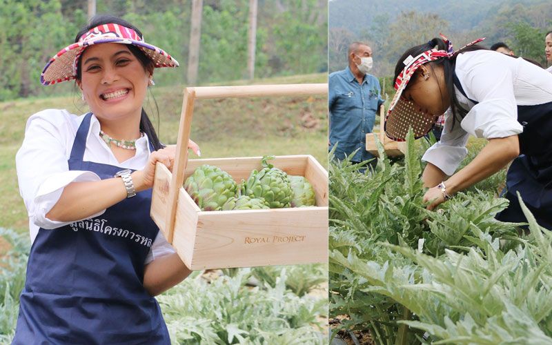 'เจ้าฟ้าสิริวัณณวรีฯ'เสด็จเยือนสถานีเกษตรหลวงอ่างขาง (ประมวลภาพ)
