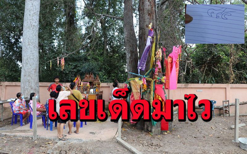 มาแล้วเลขตะเคียนคู่! งวดนี้เจ้าแม่ให้ 3 ตัวตรงคอหวยส่องเห็นเลขชัด