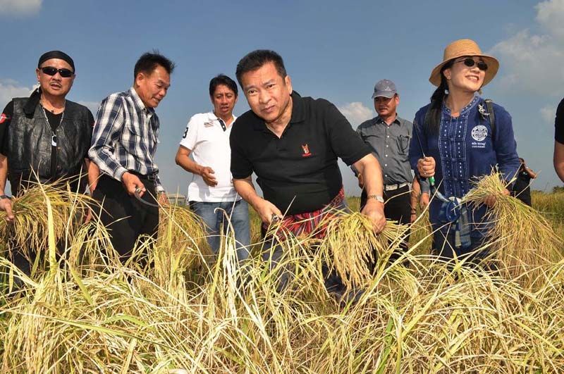 โครงการหักดิบพลิกผืนดิน เกษตรอินทรีย์   พร้อมเปิดเป็นแหล่งเรียนรู้ให้กับคนรุ่นใหม่