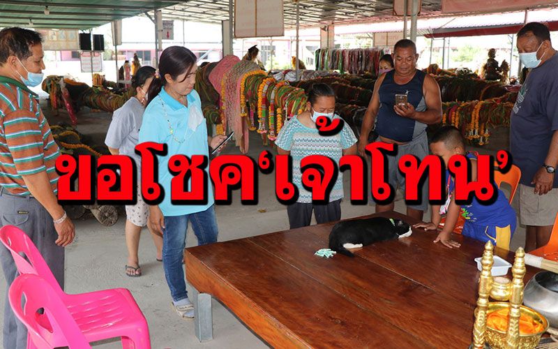 แฟนคลับขอเลขเด็ด'เจ้าโทน' เผยเลขเสี่ยงทาย3ตัว ลุ้นโชคงวดนี้ (ชมคลิป)