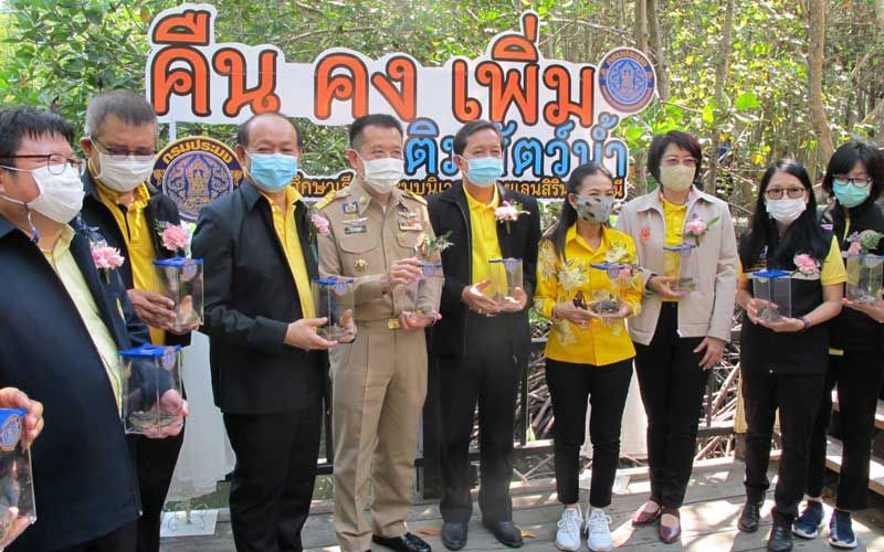 กรมประมงเปิดโครงการ‘คืน คง เพิ่ม’ ปล่อยพันธุ์ปูทะเล 3 แสนตัวสู่ธรรมชาติ