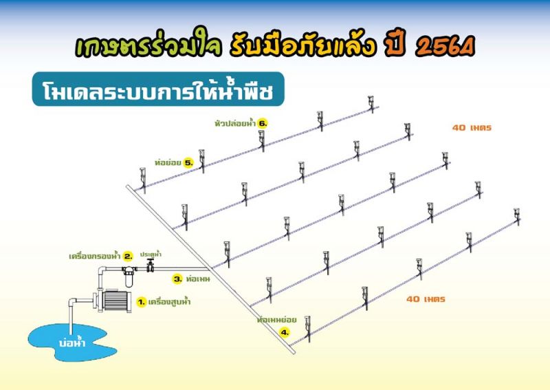 เตือนชาวนางดปลูกข้าวรอบ3หน้าแล้งเสี่ยงเสียหาย100%