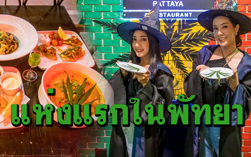 เตรียมพร้อมรองรับนักท่องเที่ยว! แห่งแรกในพัทยาร้านอาหารสไตล์ฝรั่งใส่เมนูกัญชา
