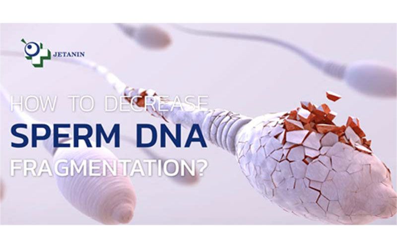 กว่า 3 ทศวรรษโรงพยาบาลเจตนินขึ้นแท่นผู้นำศูนย์รักษาผู้มีบุตรยาก