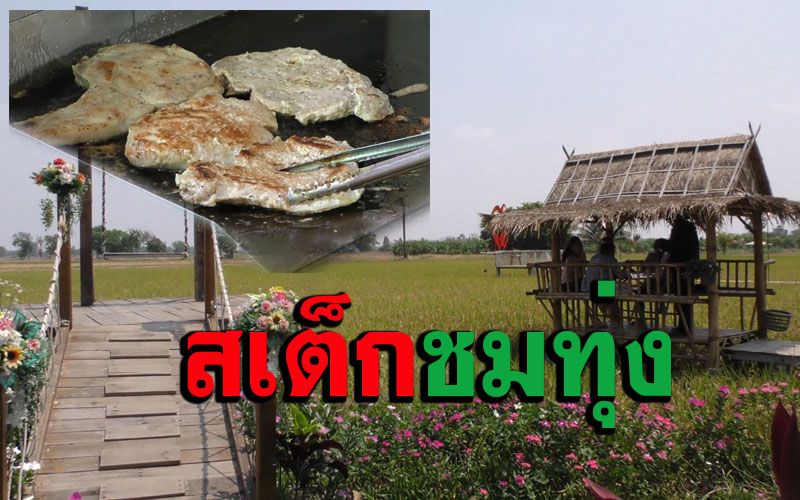 เที่ยวชัยนาทแวะชิม 'สเต็กสูตรพิเศษ1เดียวในโลก' นั่งชิลสัมผัสอากาศริมทุ่งนา