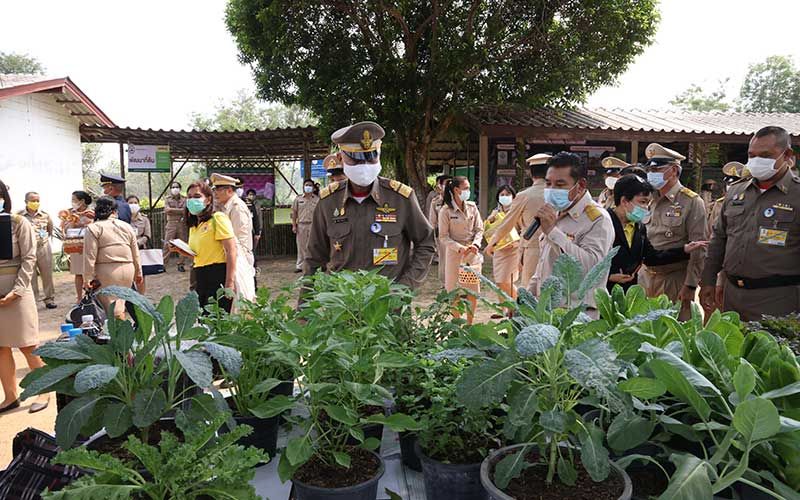 องคมนตรี ลงพื้นที่เยี่ยมศูนย์บริการการพัฒนาปลวกแดงตามพระราชดำริ จังหวัดระยอง