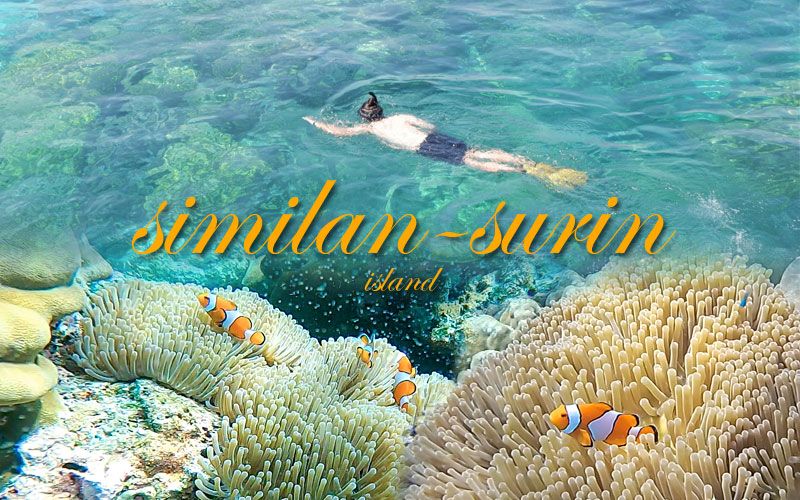 'สิมิลัน-สุรินทร์'ในวันที่ธรรมชาติฟื้นคืน หมู่เกาะสวรรค์สวยอลังการยิ่งกว่าคำร่ำลือ