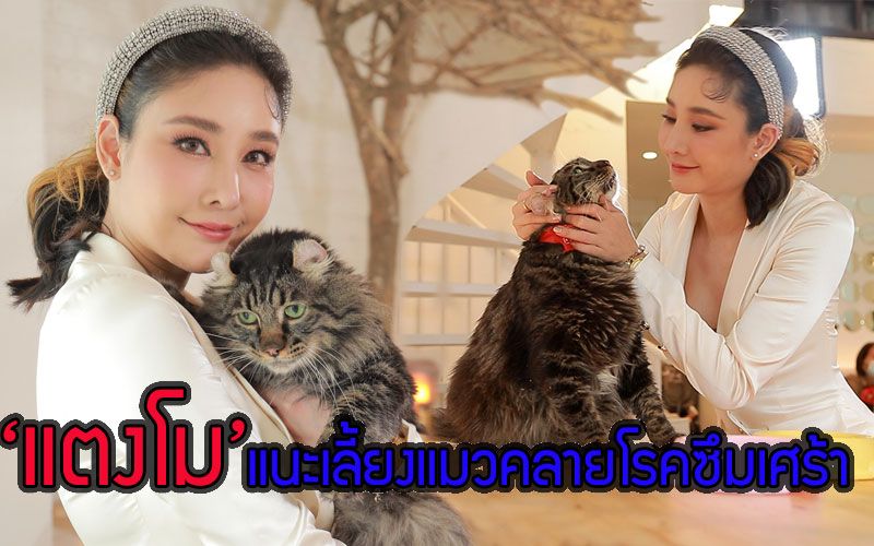 ไม่คิดแต่งงาน 'แตงโม'เปิดใจคนนี้ตรงสเปคที่สุด แนะให้เลี้ยงแมวคลายโรคซึมเศร้า