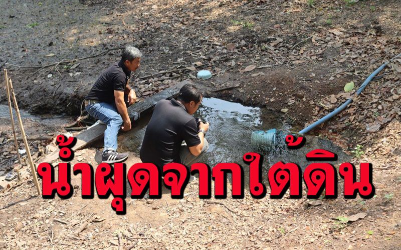 หนึ่งเดียวในพิษณุโลก! น้ำผุดจากใต้ดินที่เนินมะปรางชาวบ้านเผยใช้ได้ทั้งปีไม่มีแห้ง