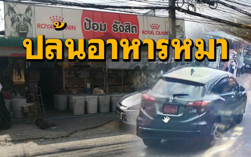 แม่ค้างง! หญิงขับเก๋งป้ายแดงจอดหน้าร้านยกอาหารสัตว์ขึ้นรถขับออกไปหน้าตาเฉย