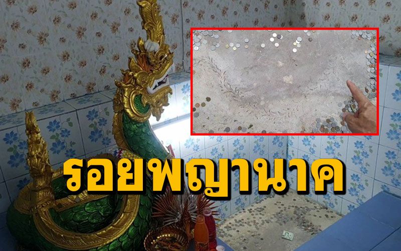 ฮือฮา! พบรอยพญานาคโผล่ใต้พระธาตุศรีมหาโพธิ์ 'วัดสันป่าสัก' เมืองพะเยา