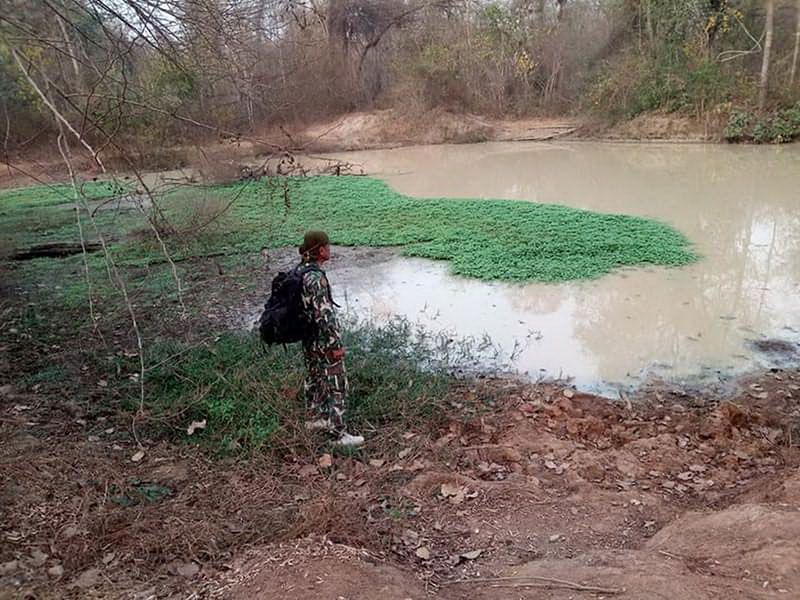 สกู๊ปพิเศษ : หน.เขตฯสลักพระจัดทำแผนของบกว่า188ล้าน แก้ปัญหาช้างป่าออกนอกพื้นที่ป่าอนุรักษ์สัตว์ป่า