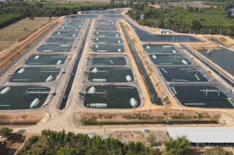 ซีพีเอฟ ชู CARE Aquaculture Model ยกระดับธุรกิจการเลี้ยงสัตว์น้ำจืด